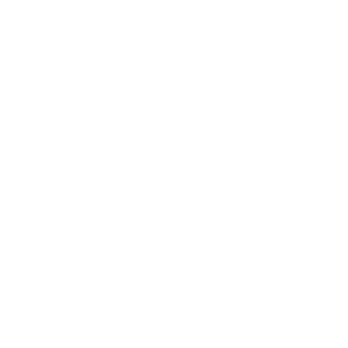 Medienpartner - Sächsische Zeitung