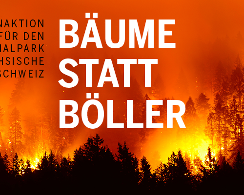 CANALETTO – Das Dresdner Stadtfest vom 15. – 17. August 2025 - Pressemitteilung - CANALETTO: Bäume statt Böller
